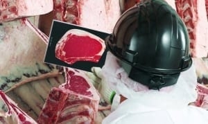 Personal examinando calidad de la carne