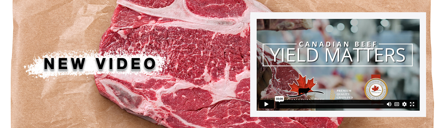 yield-video-feature